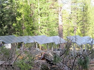 Solar panels installed in wooded clearing providing renewable energy in Red Bluff